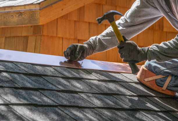 Best Metal Roofing Installation  in Catawba, SC